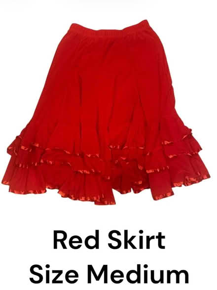 Photo of free Woman’s Red Skirt (Brooklyn Storage) #1