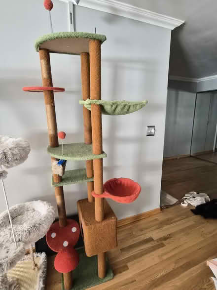 Photo of free floor to ceiling cat tree (lakeview east) #1