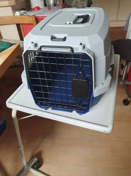 Photo of free Cat basket (Lewes, BN7) #1