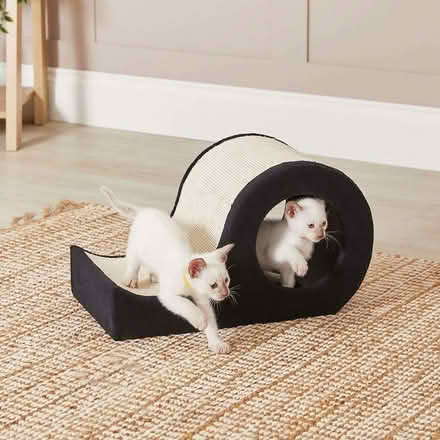 Photo of free Cat scratcher (Bronllys LD3) #1