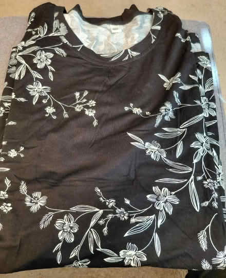 Photo of free 2 size 2X tops (Hollymead) #1