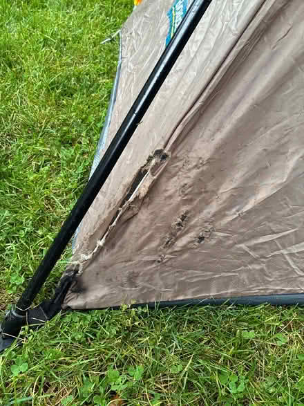 Photo of free Dome Tent (Manotick) #3