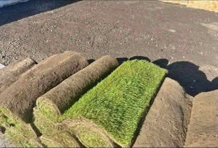Photo of Turf grass (The Hockering GU22) #1