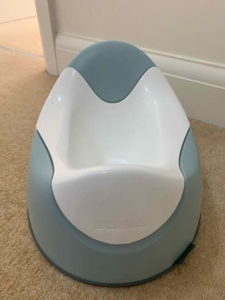 Photo of free Kids potty (Hereford, HR2, Ross road) #1
