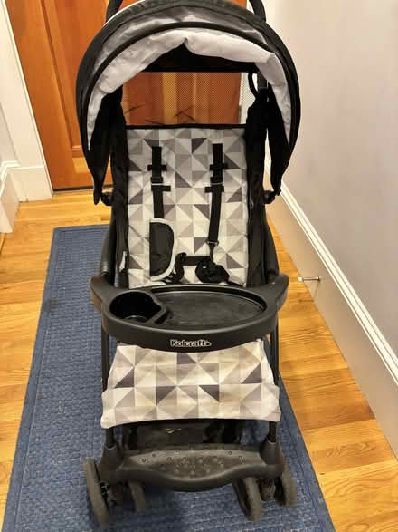 Photo of free Baby carriage (Spring Hill) #3