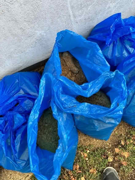 Photo of free Sand from paving slabs (North Herts SG4) #1