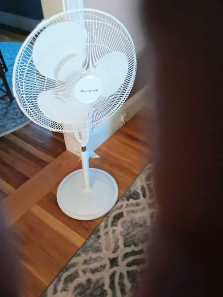 Photo of free Upright fan (Elm street opposite Aquavia rd) #1