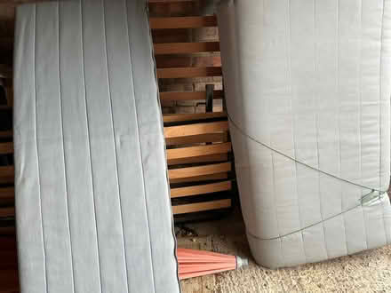 Photo of free Light modern sofa bed (Hellesdon NR6) #1