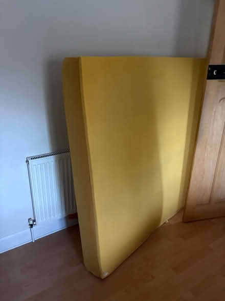 Photo of free Huge piece of foam (Send/Ripley GU23) #2