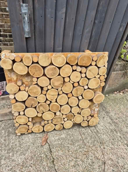 Photo of free Fireplace insert (Blackheath, SE13) #1