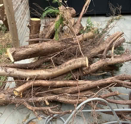 Photo of free Lots of logs (Orpington BR5) #1