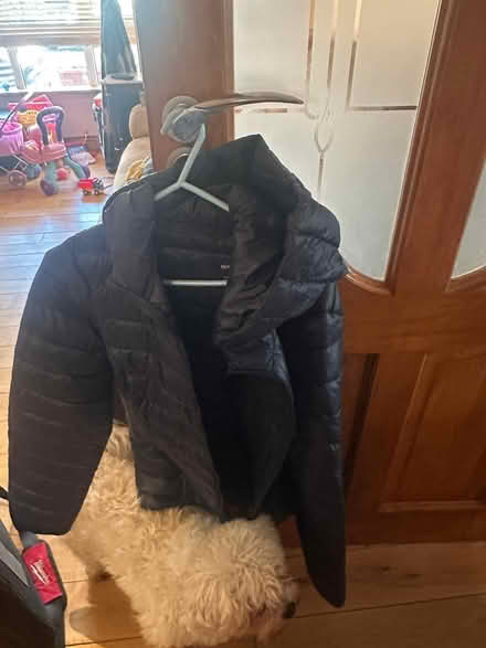 Photo of free Men’s navy padded jacket (Artane) #1