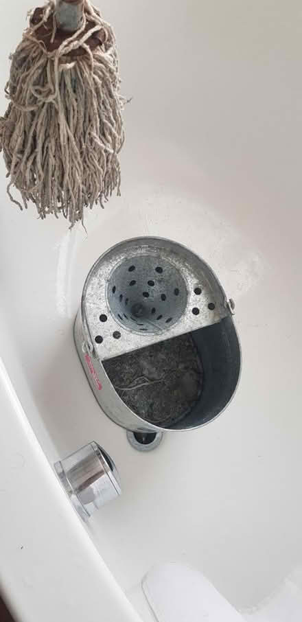 Photo of free Metal mop bucket and mop head (Barkingside IG6) #1