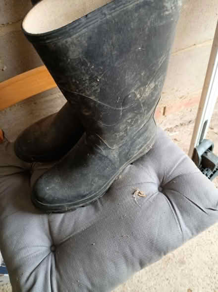 Photo of free Wellies (Bexhill tn40) #3