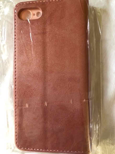 Photo of free Rose pink/gold ? (Stoneferry HU7) #2
