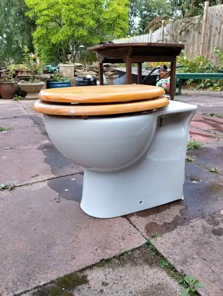 Photo of free None Standard Shape Toilet & Cistern/Quirky Planter (Pierremont DL3) #2