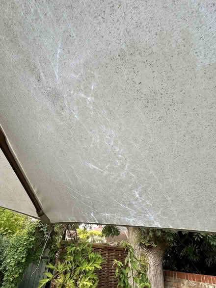 Photo of free Garden Parasol (Long Melford CO10) #2