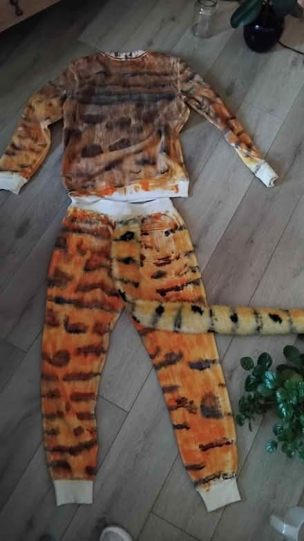 Photo of free Hand made costumes (Dumbiedykes EH8) #1