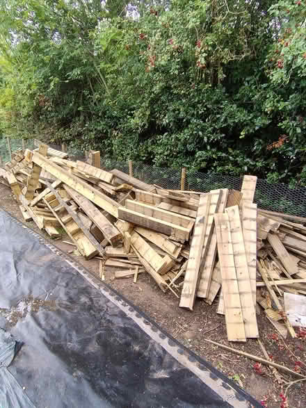 Photo of free Wooden decking and supports (Cleobury Mortimer) #1