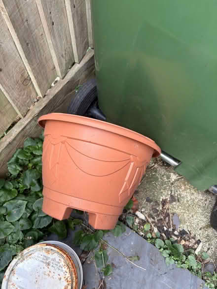 Photo of free Plastic plant pot (Kingston Gate KT2) #1
