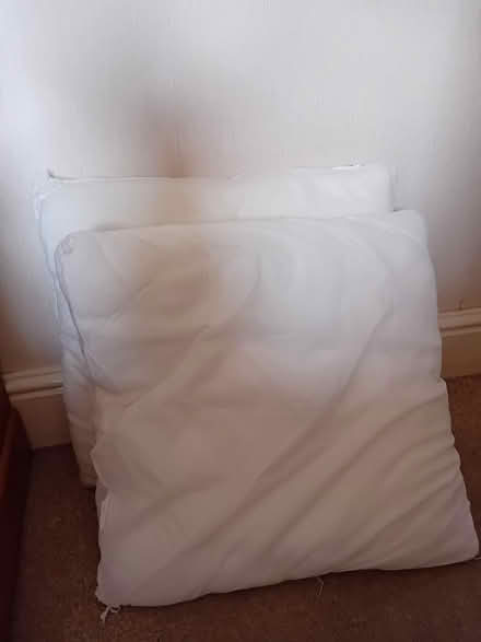 Photo of free 2 x large cushion inners (CW1 Crewe) #1