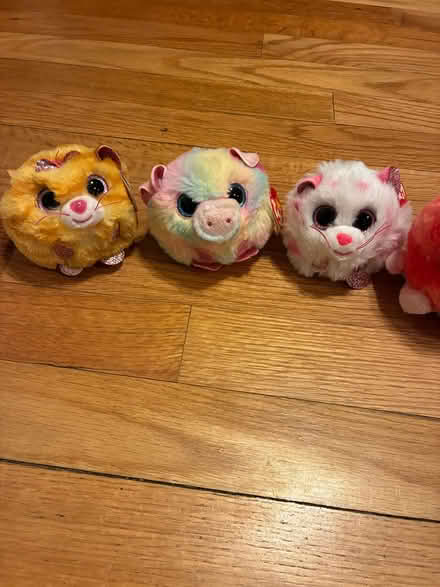 Photo of free Beanie Puffies (Saugerties) #2