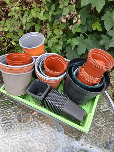 Photo of free Plant pots (Woodseats S8) #1