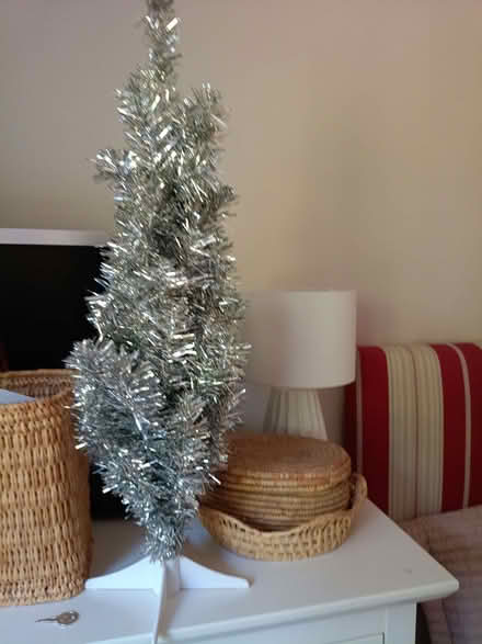 Photo of free Christmas Decorations (West Hunsbury NN4) #2
