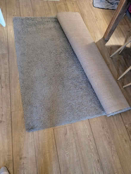 Photo of free IKEA Hampen Rug (Halstead CO9) #1