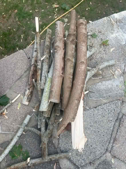 Photo of free Wood Log (Orpington BR6) #1