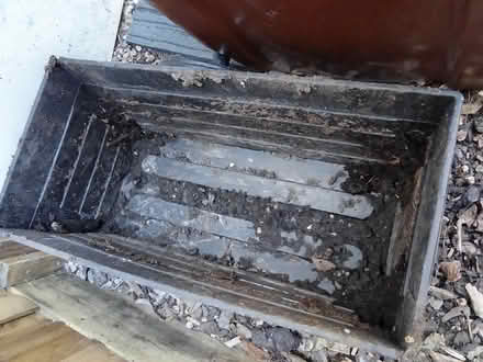 Photo of free Trough/planter (Willesborough) #1