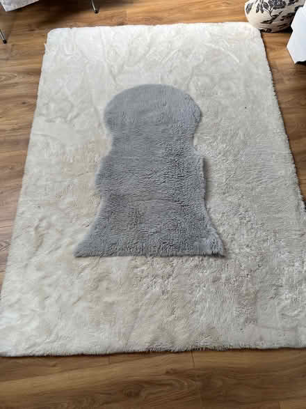 Photo of free Rugs (Drylaw EH4) #1