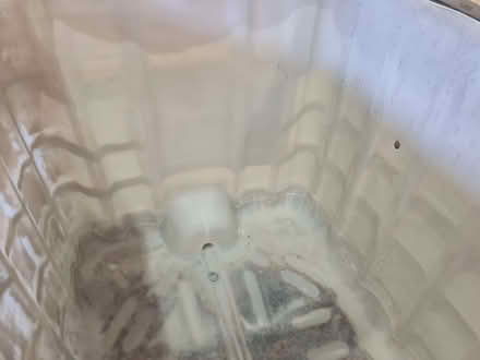 Photo of free IBC empty container (Red Scar PR2) #3