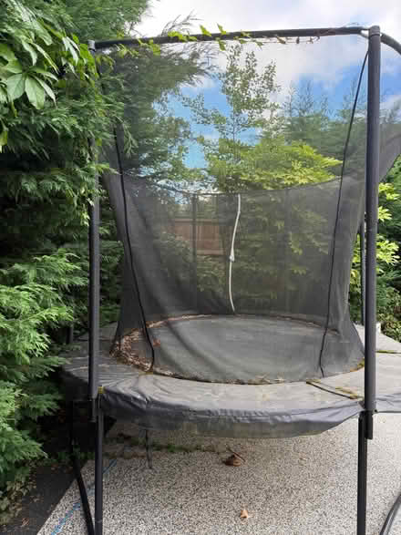 Photo of free Trampoline by Plum (Brincliffe S11) #2