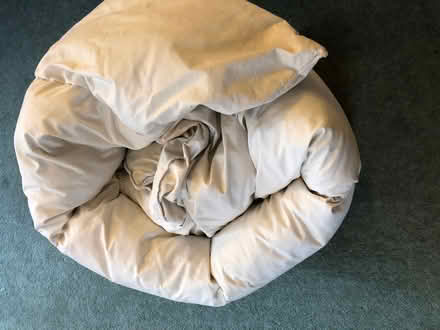 Photo of free Old duvet (Hailsham BN27) #1