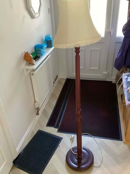 Photo of free Standard lamp (Oswestry SY11) #1