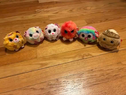 Photo of free Beanie Puffies (Saugerties) #1