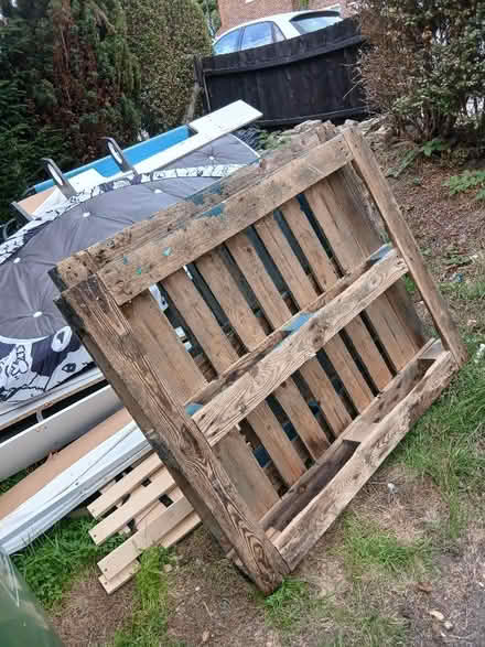 Photo of free 3 pallets (Downham BR1) #1