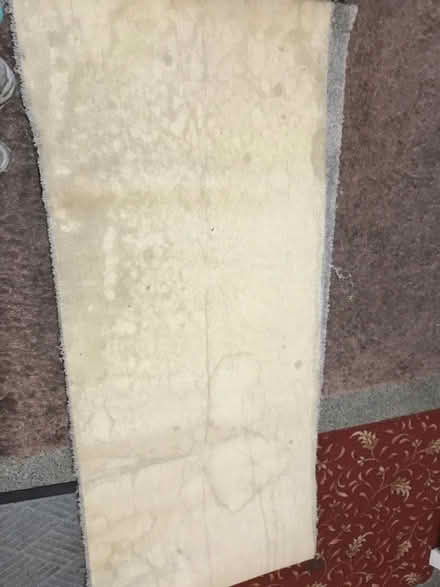 Photo of free Carpet runner quite long (South Wimbledon, SW19 SW19) #2