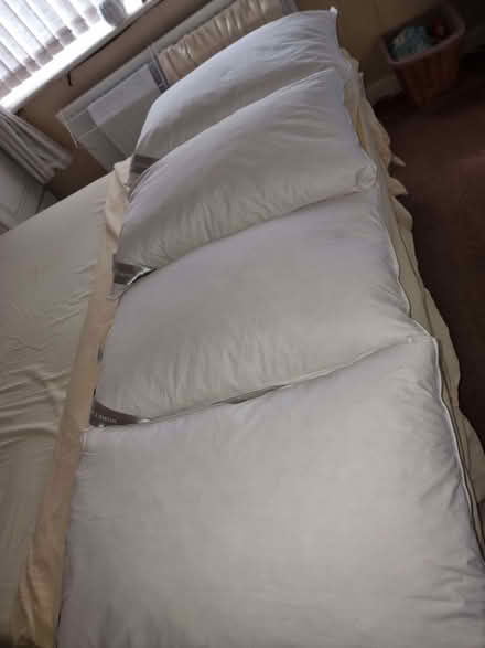Photo of free 4 Goose Feather and Down Pillows (Ecclesfield S35) #2