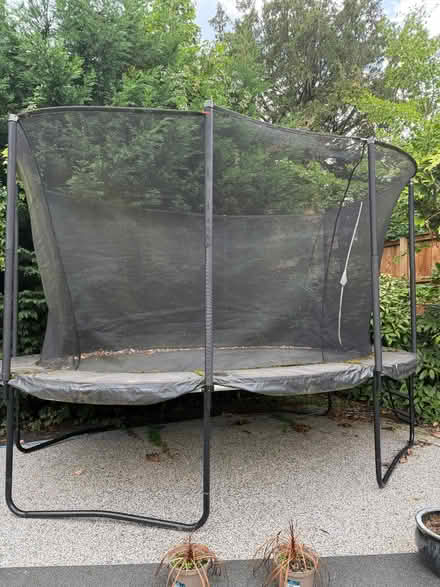 Photo of free Trampoline by Plum (Brincliffe S11) #1