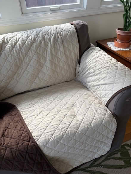 Photo of free COUCH COVER reversible pet friendly (San Carlos-El Camino near Hull) #1