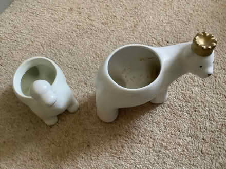 Photo of free Dinosaur and polar bear plant pots (Ellastone DE6) #2