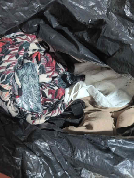 Photo of free Cloths (Erith DA8) #1