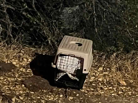 Photo of free Used Small Pet Carrier (153 Picnic Ave, San Rafael) #2