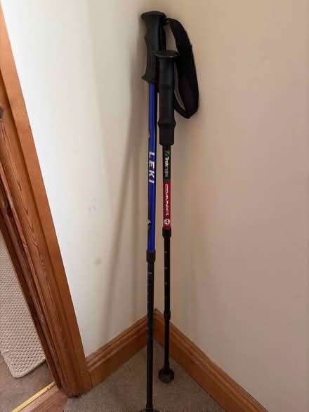 Photo of free Walking poles (Papcastle CA13) #1