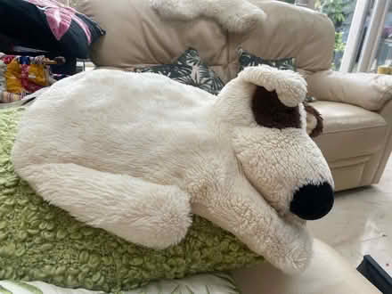 Photo of free Hot Water bottle cover (Sandyford) #1