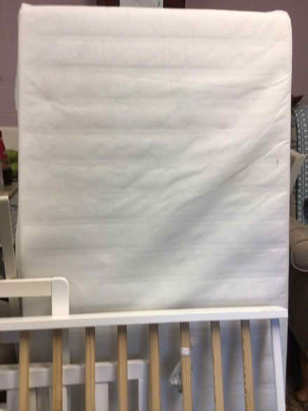 Photo of free Toddler Bed & Mattress (Dt6 Bothenhampton) #1