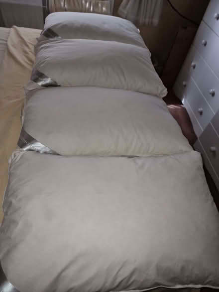 Photo of free 4 Goose Feather and Down Pillows (Ecclesfield S35) #1