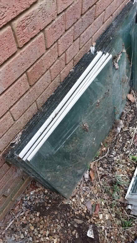 Photo of free Greenhouse Glass (Flitton MK45) #1